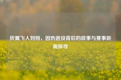 折翼飞人刘翔，因伤退役背后的故事与赛事距离探寻