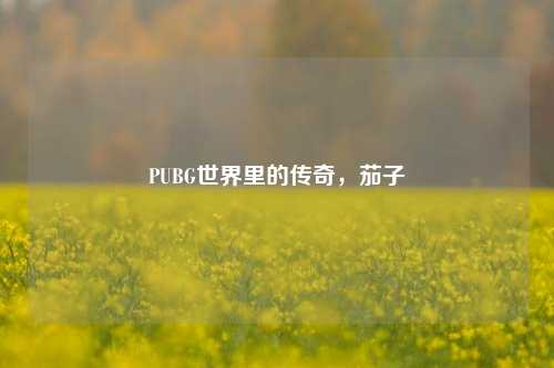 PUBG世界里的传奇，茄子