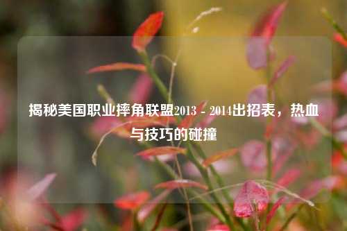 揭秘美国职业摔角联盟2013 - 2014出招表,热血与技巧的碰撞