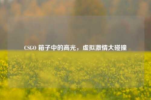 CSGO 箱子中的高光，虚拟激情大碰撞