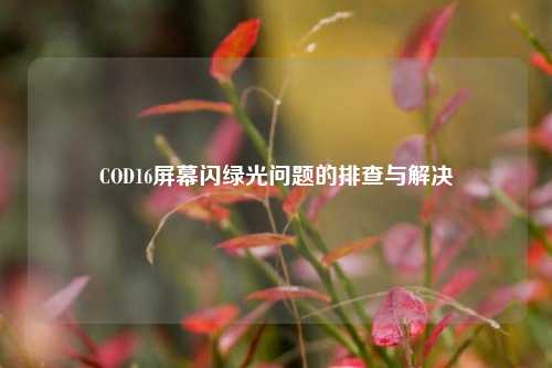 COD16屏幕闪绿光问题的排查与解决