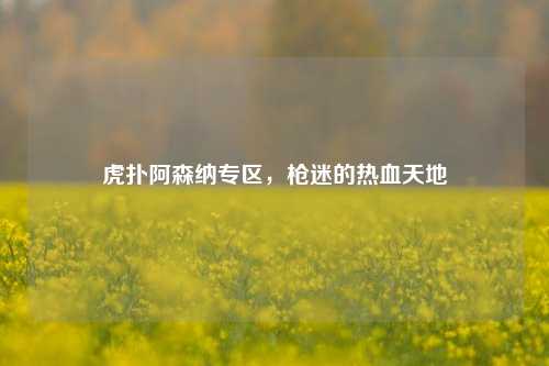 虎扑阿森纳专区，枪迷的热血天地