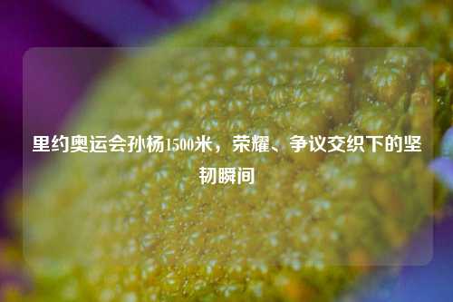 里约奥运会孙杨1500米，荣耀、争议交织下的坚韧瞬间