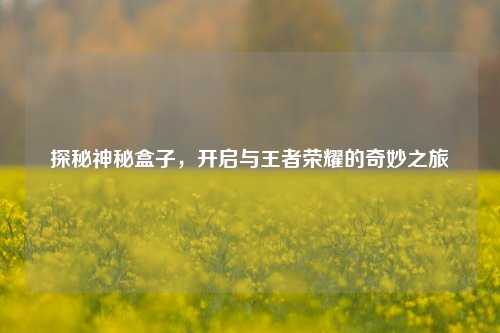 探秘神秘盒子，开启与王者荣耀的奇妙之旅
