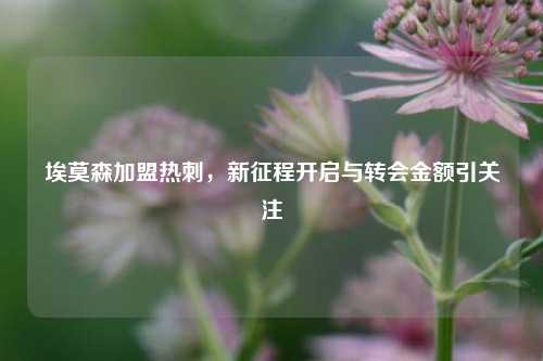 埃莫森加盟热刺,新征程开启与转会金额引关注