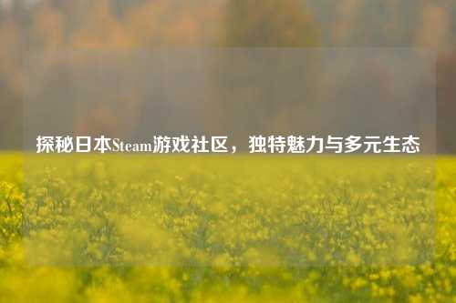 探秘日本Steam游戏社区,独特魅力与多元生态