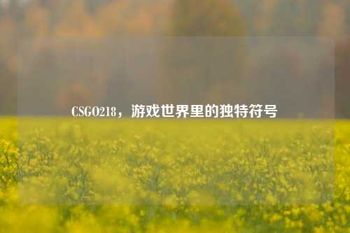 CSGO218,游戏世界里的独特符号