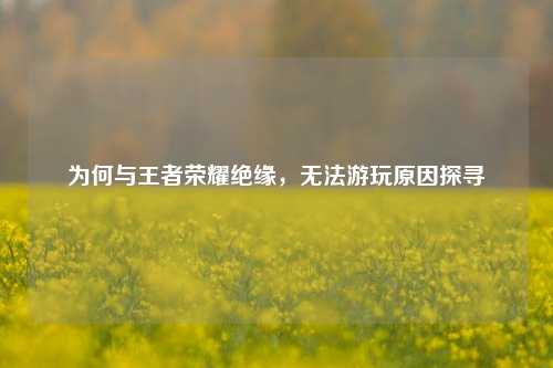 为何与王者荣耀绝缘,无法游玩原因探寻