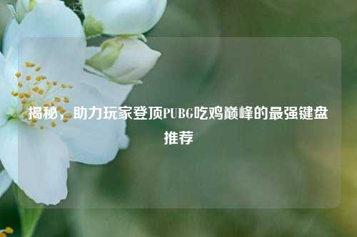 揭秘，助力玩家登顶PUBG吃鸡巅峰的最强键盘推荐