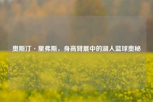 奥斯汀·里弗斯，身高臂展中的湖人篮球奥秘