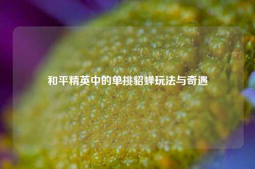 和平精英中的单挑貂蝉玩法与奇遇