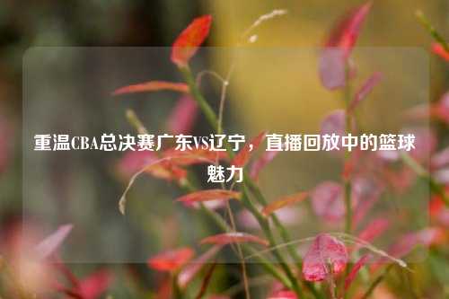 重温CBA总决赛广东VS辽宁，直播回放中的篮球魅力
