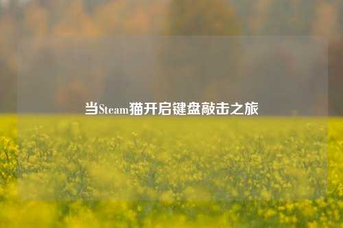当Steam猫开启键盘敲击之旅