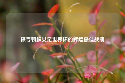 探寻朝鲜女足世界杯的辉煌最佳战绩