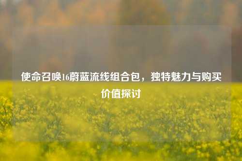 使命召唤16蔚蓝流线组合包,独特魅力与购买价值探讨