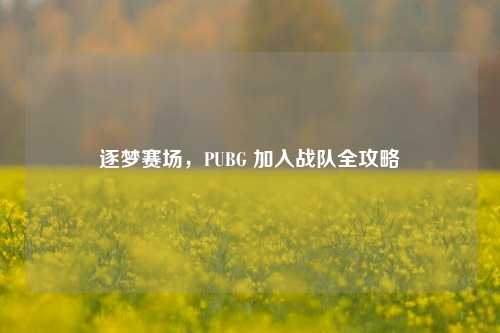 逐梦赛场,PUBG 加入战队全攻略