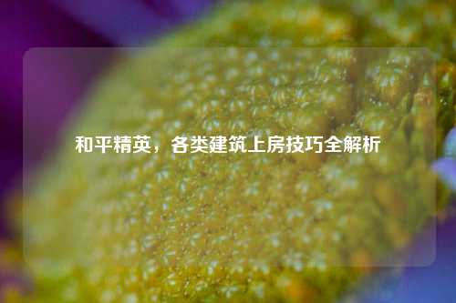 和平精英,各类建筑上房技巧全解析