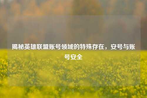揭秘英雄联盟账号领域的特殊存在，安号与账号安全