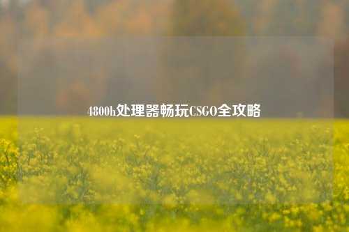 4800h处理器畅玩CSGO全攻略