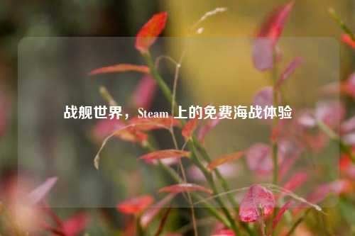 战舰世界，Steam 上的免费海战体验