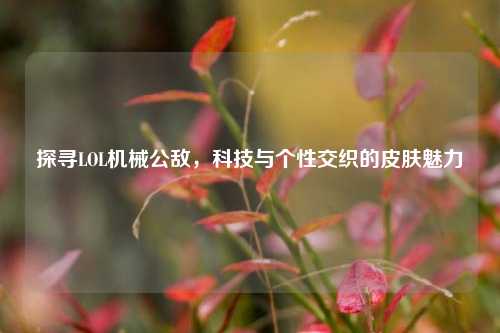 探寻LOL机械公敌,科技与个性交织的皮肤魅力