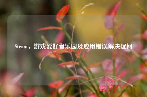 Steam，游戏爱好者乐园及应用错误解决疑问