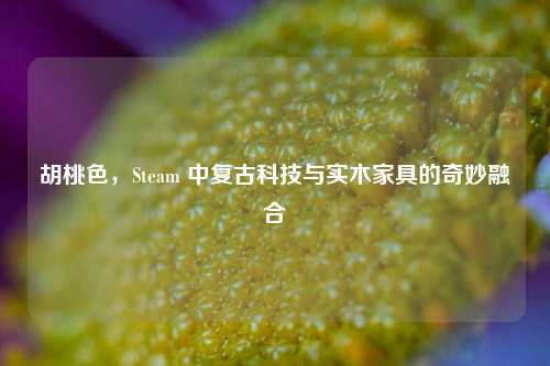 胡桃色，Steam 中复古科技与实木家具的奇妙融合
