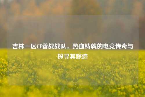 吉林一区CF善战战队,热血铸就的电竞传奇与探寻其踪迹