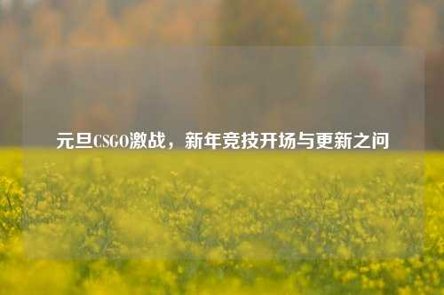 元旦CSGO激战，新年竞技开场与更新之问