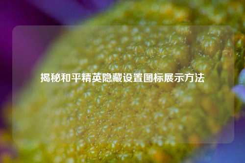 揭秘和平精英隐藏设置图标展示方法
