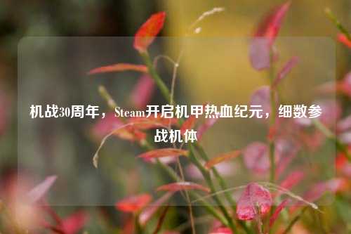 机战30周年,Steam开启机甲热血纪元,细数参战机体
