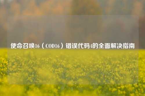 使命召唤16(COD16)错误代码4的全面解决指南