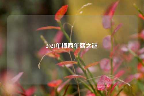 2021年梅西年薪之谜