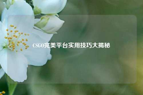 CSGO完美平台实用技巧大揭秘