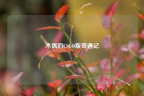 木偶的CSGO版奇遇记