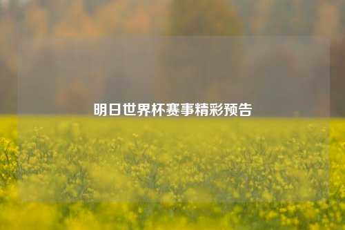 明日世界杯赛事精彩预告