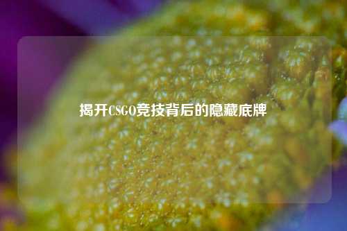 揭开CSGO竞技背后的隐藏底牌