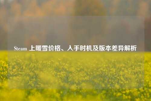 Steam 上暖雪价格、入手时机及版本差异解析