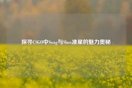 探寻CSGO中Swag与Shox准星的魅力奥秘
