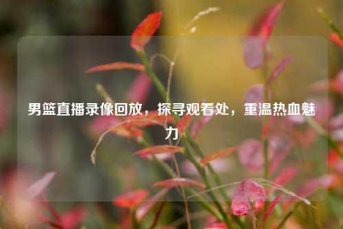 男篮直播录像回放，探寻观看处，重温热血魅力
