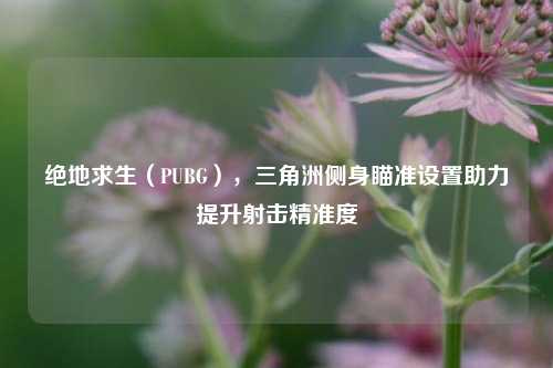 绝地求生(PUBG),三角洲侧身瞄准设置助力提升射击精准度