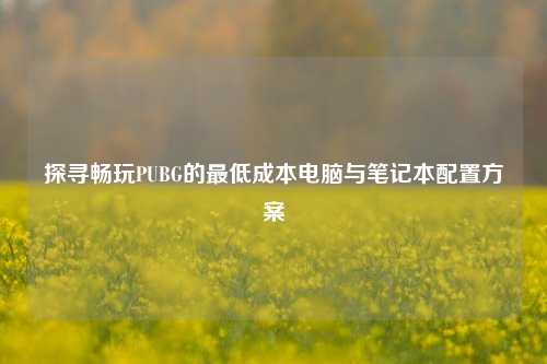 探寻畅玩PUBG的最低成本电脑与笔记本配置方案