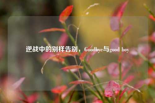 逆战中的别样告别,Goodbye与good boy