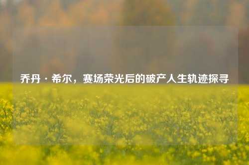 乔丹·希尔,赛场荣光后的破产人生轨迹探寻