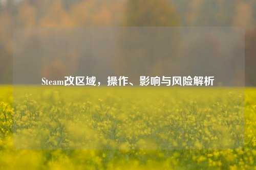 Steam改区域,操作、影响与风险解析