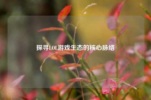 探寻LOL游戏生态的核心脉络