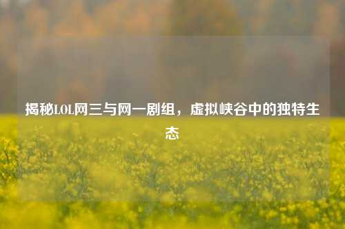 揭秘LOL网三与网一剧组,虚拟峡谷中的独特生态