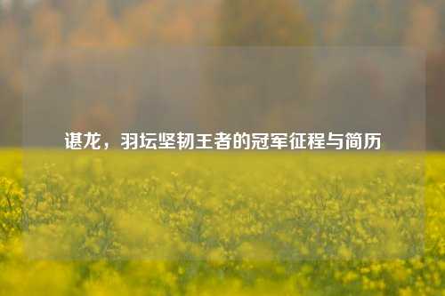 谌龙,羽坛坚韧王者的冠军征程与简历