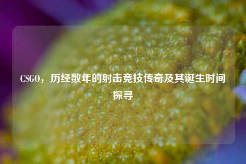 CSGO，历经数年的射击竞技传奇及其诞生时间探寻