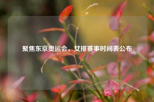 聚焦东京奥运会,女排赛事时间表公布